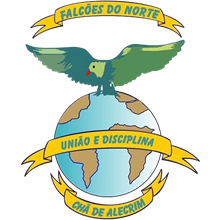 Falcões do Norte