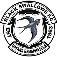Black Swallows