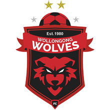 Wollongong Wolves