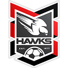 Holland Park Hawks