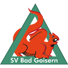 SV Bad Goisern