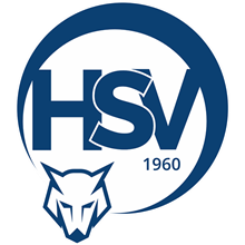 USV Markt Hartmannsdorf