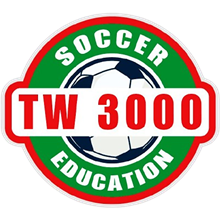 Tielt-Winge 3000