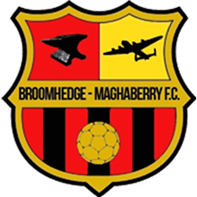Broomhedge