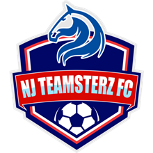 NJ Teamsterz