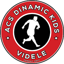 Dinamic Kids Videle