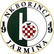 Borinci