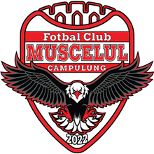 AFC Câmpulung - Muscel