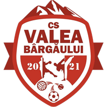 Valea Bârgaului