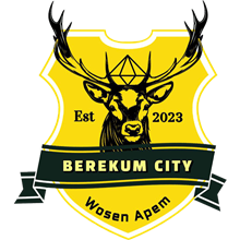 Berekum City