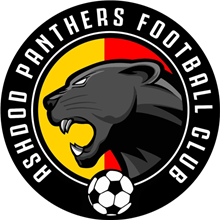 Ashdod Panthers