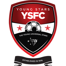 Young Stars