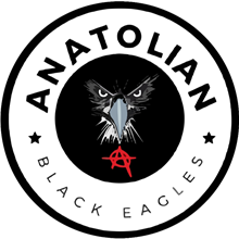 FC Anatolia