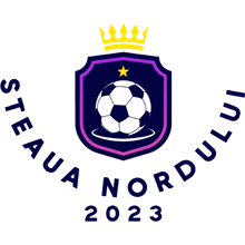Steaua Nordului