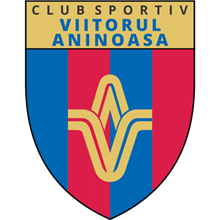Viitorul Aninoasa