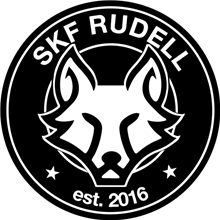 DSG Rudell SKF