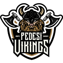 P Vikings