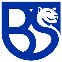 Union Brescia