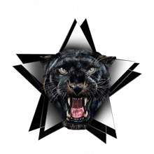 Frattese 80027