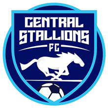 Central Stallions