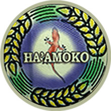 Ha'amoko