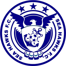 Navy Sea Hawks