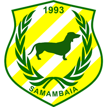 Samambaia