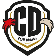 Cefn Druids