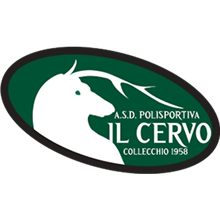 Il Cervo