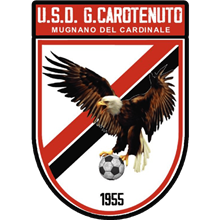 G. Carotenuto