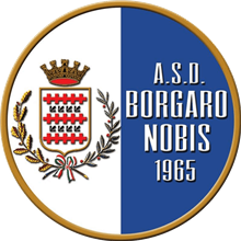 Borgaro