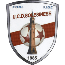 Solesinese