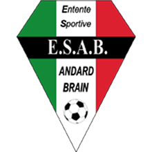 ES Andard Brain Football
