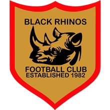 Black Rhinos