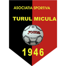 Turul Micula