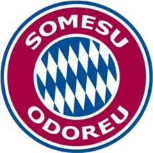 Someþul Odoreu