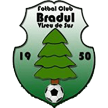 Bradul Viþeu