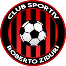 Ziduri