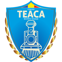 Real Teaca