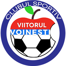 Viitorul Voineþti