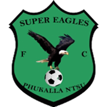 Super Eagles FC