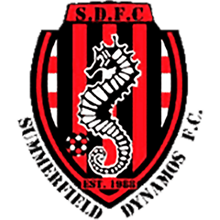 Summerfield Dynamos