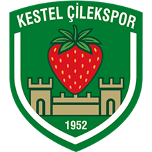 Kestel Çilek Spor