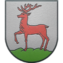 FC Visk