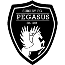 SFC Pegasus