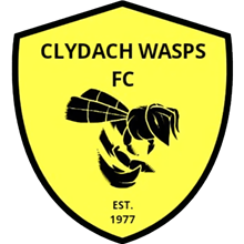Clydach Wasps