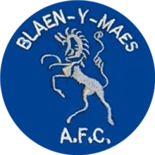 Blaen-y-Maes