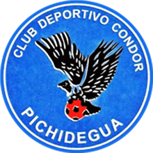 Cóndor de Pichidegua