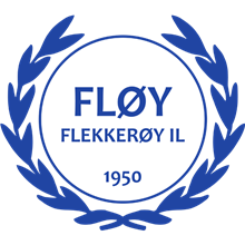 Fløy