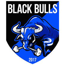 Black Bulls